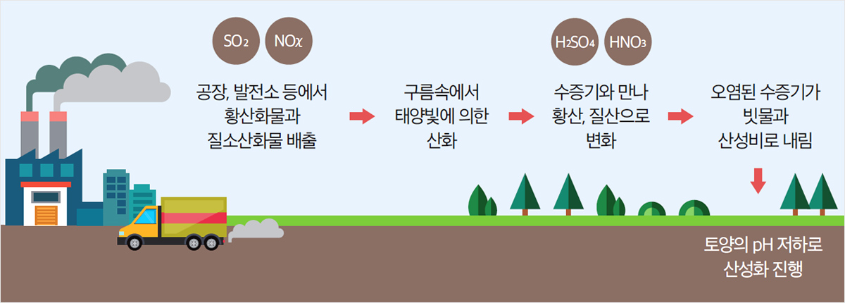 공장, 발전소등에서 황산화물과 질소산화물 배출 → 구름속에서 태양빛에 의한 산화→ 수중기와 만나 황산, 질산으로 변화→오염된 수중기가 빗물과 산성비로 내림 →토양의 ph저하로 산성화 진행 